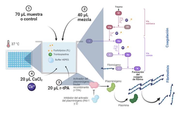 Diagrama

Descripción generada automáticamente