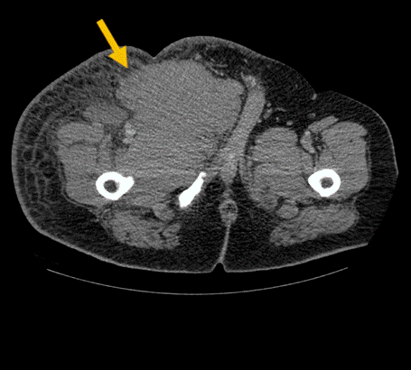 Screen Shot 2022-09-20 at 7.47.58 PM.png