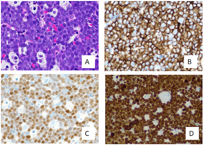 Screen Shot 2023-06-24 at 8.33.21 PM.png