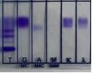A test results of a dna sample
Description automatically generated with medium confidence